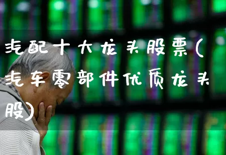 汽配十大龙头股票(汽车零部件优质龙头股)_https://www.syklpowerbike.com_创业板_第1张