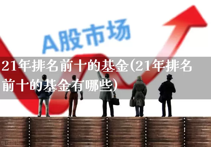 21年排名前十的基金(21年排名前十的基金有哪些)_https://www.syklpowerbike.com_科创板_第1张