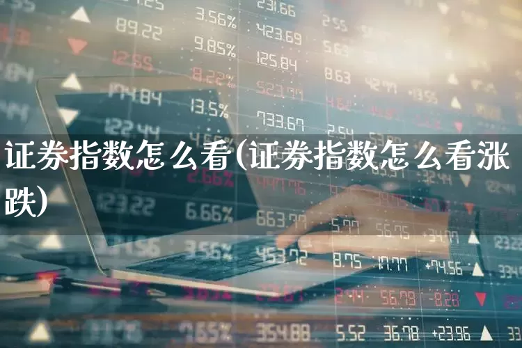 证券指数怎么看(证券指数怎么看涨跌)_https://www.syklpowerbike.com_上交所_第1张