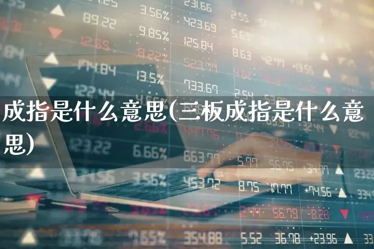 成指是什么意思(三板成指是什么意思)_https://www.syklpowerbike.com_创业板_第1张