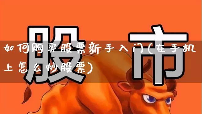 如何购买股票新手入门(在手机上怎么炒股票)_https://www.syklpowerbike.com_深交所_第1张