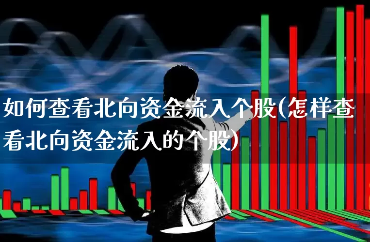 如何查看北向资金流入个股(怎样查看北向资金流入的个股)_https://www.syklpowerbike.com_创业板_第1张