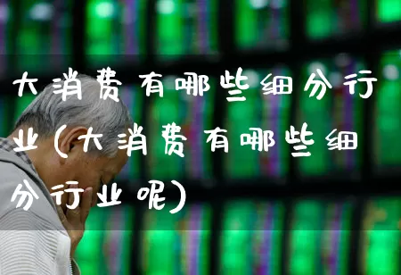 大消费有哪些细分行业(大消费有哪些细分行业呢)_https://www.syklpowerbike.com_上交所_第1张