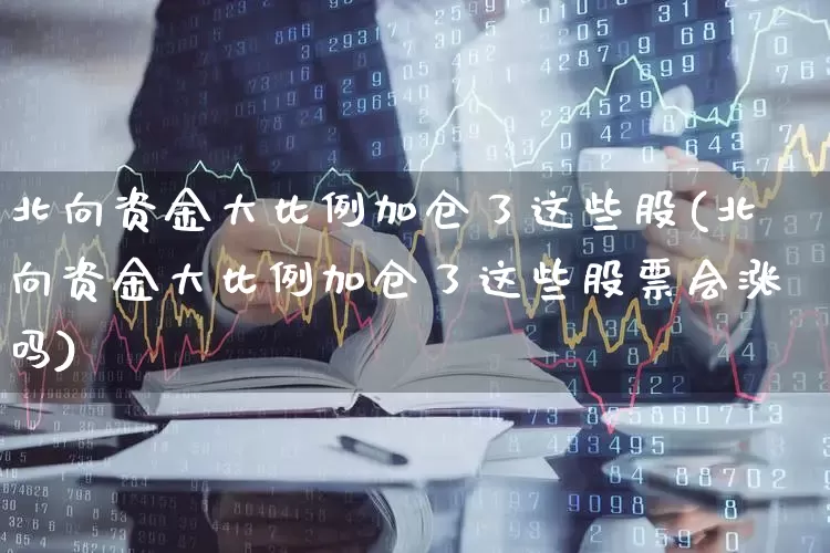 北向资金大比例加仓了这些股(北向资金大比例加仓了这些股票会涨吗)_https://www.syklpowerbike.com_深交所_第1张