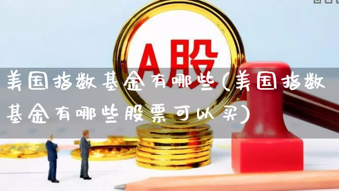 美国指数基金有哪些(美国指数基金有哪些股票可以买)_https://www.syklpowerbike.com_创业板_第1张