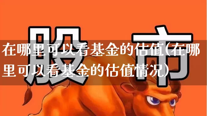 在哪里可以看基金的估值(在哪里可以看基金的估值情况)_https://www.syklpowerbike.com_科创板_第1张