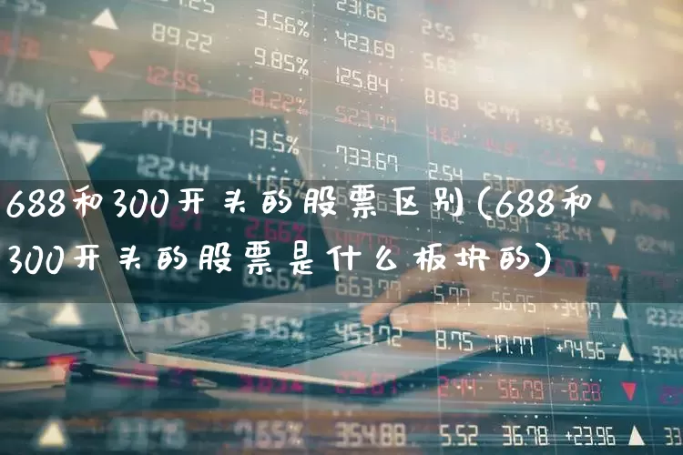 688和300开头的股票区别(688和300开头的股票是什么板块的)_https://www.syklpowerbike.com_北交所_第1张