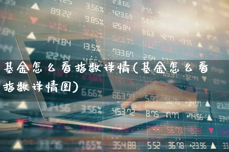 基金怎么看指数详情(基金怎么看指数详情图)_https://www.syklpowerbike.com_北交所_第1张