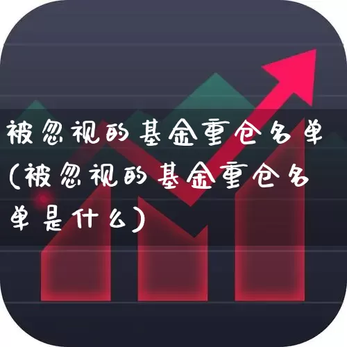 被忽视的基金重仓名单(被忽视的基金重仓名单是什么)_https://www.syklpowerbike.com_北交所_第1张