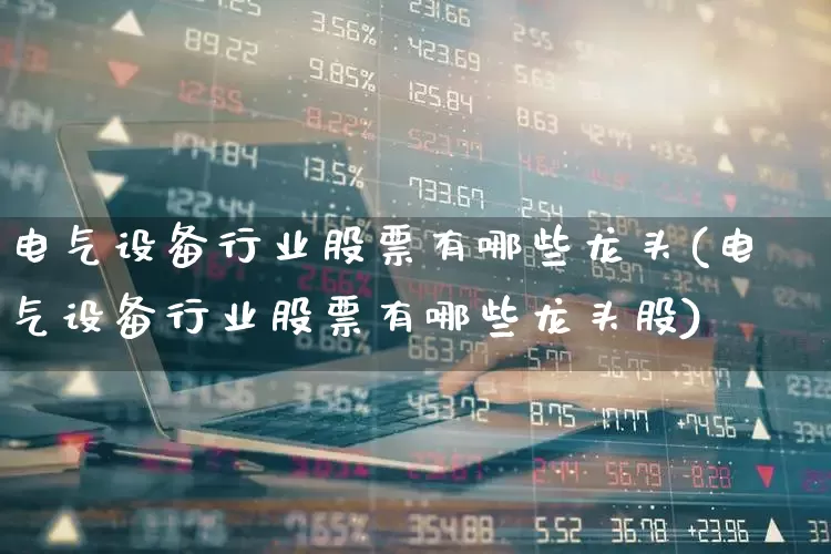 电气设备行业股票有哪些龙头(电气设备行业股票有哪些龙头股)_https://www.syklpowerbike.com_创业板_第1张