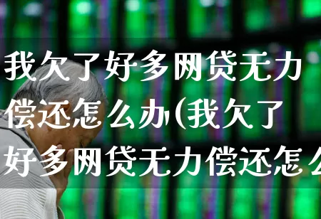 我欠了好多网贷无力偿还怎么办(我欠了好多网贷无力偿还怎么办告诉家人吗)_https://www.syklpowerbike.com_深交所_第1张