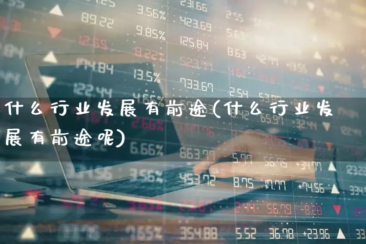 什么行业发展有前途(什么行业发展有前途呢)_https://www.syklpowerbike.com_北交所_第1张