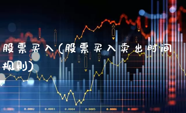股票买入(股票买入卖出时间规则)_https://www.syklpowerbike.com_北交所_第1张