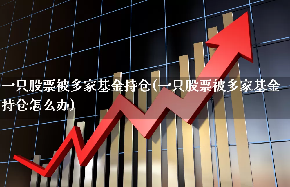 一只股票被多家基金持仓(一只股票被多家基金持仓怎么办)_https://www.syklpowerbike.com_北交所_第1张