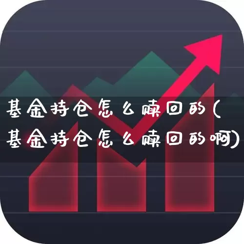 基金持仓怎么赎回的(基金持仓怎么赎回的啊)_https://www.syklpowerbike.com_科创板_第1张