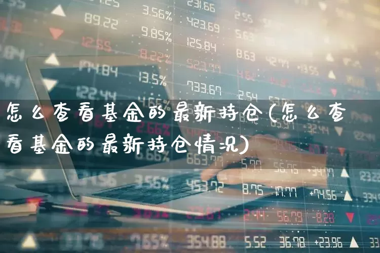 怎么查看基金的最新持仓(怎么查看基金的最新持仓情况)_https://www.syklpowerbike.com_科创板_第1张