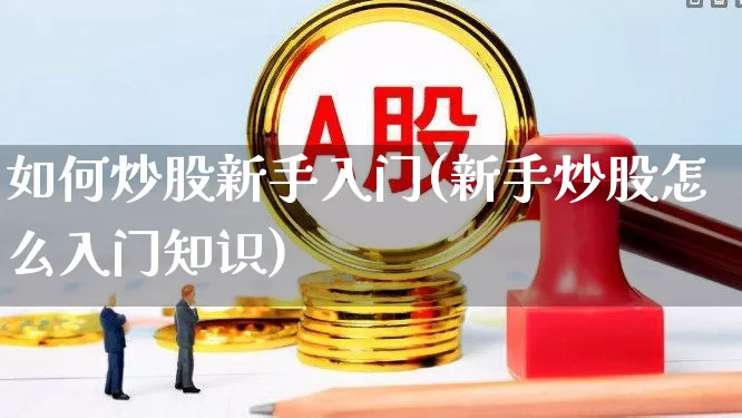 如何炒股新手入门(新手炒股怎么入门知识)_https://www.syklpowerbike.com_北交所_第1张