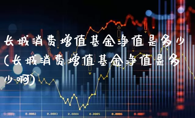 长城消费增值基金净值是多少(长城消费增值基金净值是多少啊)_https://www.syklpowerbike.com_科创板_第1张
