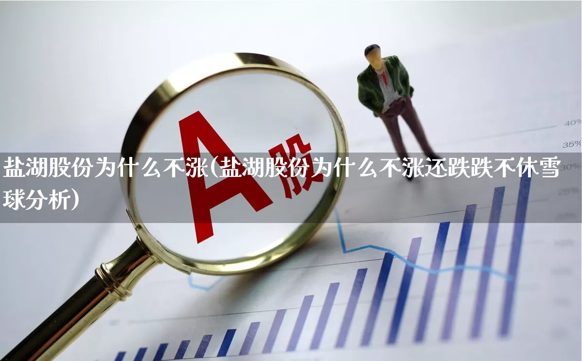 盐湖股份为什么不涨(盐湖股份为什么不涨还跌跌不休雪球分析)_https://www.syklpowerbike.com_科创板_第1张