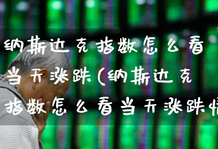 纳斯达克指数怎么看当天涨跌(纳斯达克指数怎么看当天涨跌情况)_https://www.syklpowerbike.com_创业板_第1张