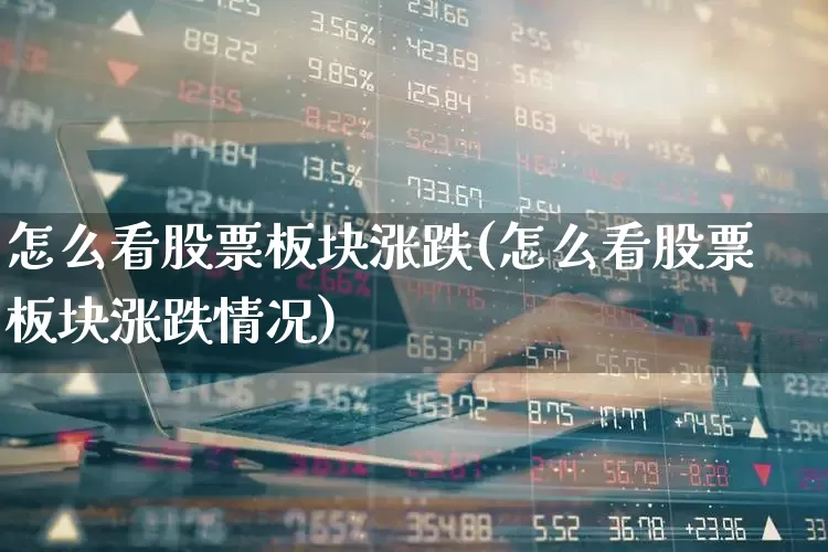 怎么看股票板块涨跌(怎么看股票板块涨跌情况)_https://www.syklpowerbike.com_创业板_第1张