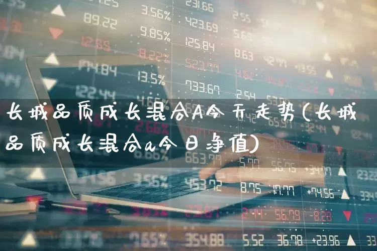长城品质成长混合A今天走势(长城品质成长混合a今日净值)_https://www.syklpowerbike.com_北交所_第1张