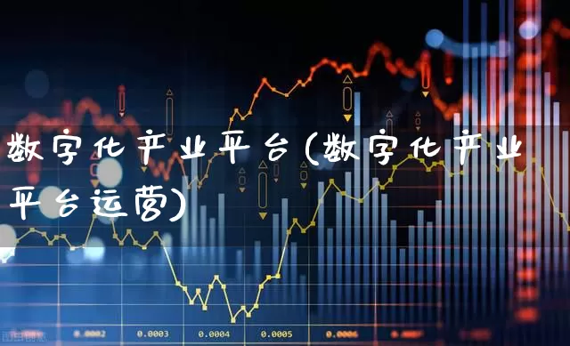 数字化产业平台(数字化产业平台运营)_https://www.syklpowerbike.com_上交所_第1张