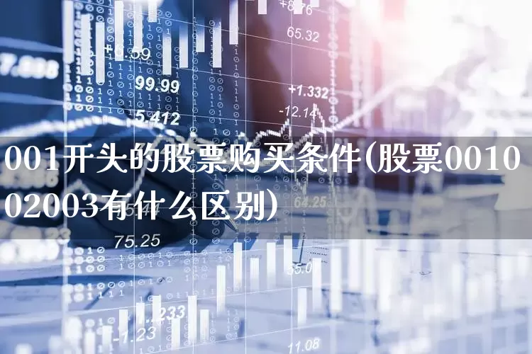 001开头的股票购买条件(股票001002003有什么区别)_https://www.syklpowerbike.com_上交所_第1张