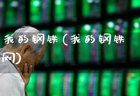 我的钢铁(我的钢铁网)_https://www.syklpowerbike.com_北交所_第1张