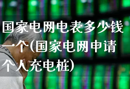国家电网电表多少钱一个(国家电网申请个人充电桩)_https://www.syklpowerbike.com_科创板_第1张