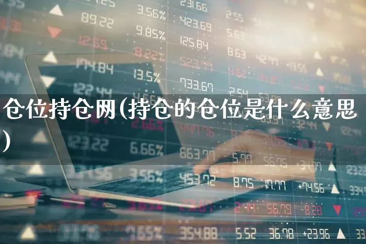 仓位持仓网(持仓的仓位是什么意思)_https://www.syklpowerbike.com_科创板_第1张