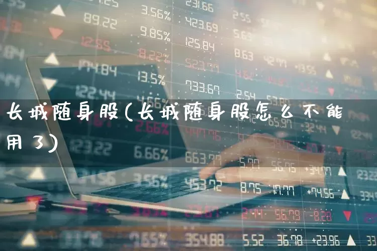 长城随身股(长城随身股怎么不能用了)_https://www.syklpowerbike.com_深交所_第1张