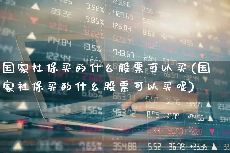 国家社保买的什么股票可以买(国家社保买的什么股票可以买呢)_https://www.syklpowerbike.com_科创板_第1张