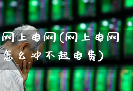 网上电网(网上电网怎么冲不起电费)_https://www.syklpowerbike.com_北交所_第1张