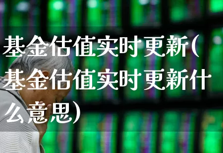 基金估值实时更新(基金估值实时更新什么意思)_https://www.syklpowerbike.com_北交所_第1张