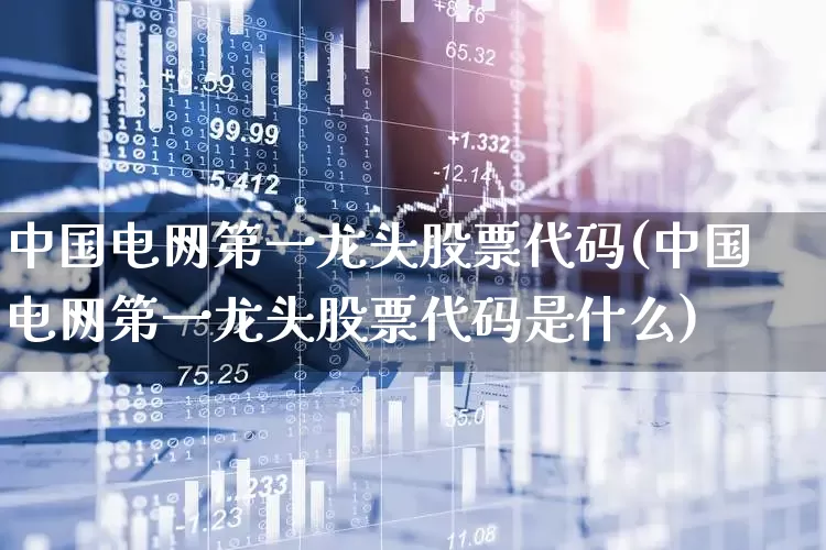 中国电网第一龙头股票代码(中国电网第一龙头股票代码是什么)_https://www.syklpowerbike.com_北交所_第1张