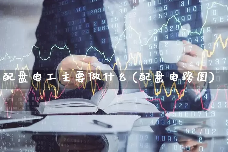配盘电工主要做什么(配盘电路图)_https://www.syklpowerbike.com_上交所_第1张