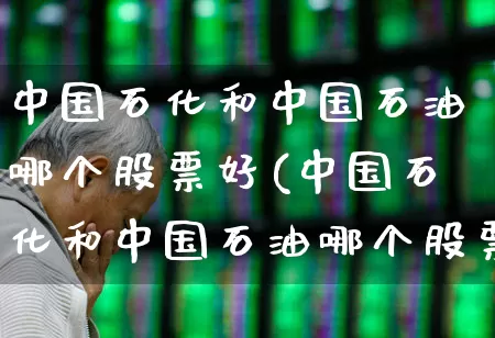 中国石化和中国石油哪个股票好(中国石化和中国石油哪个股票好一点)_https://www.syklpowerbike.com_深交所_第1张