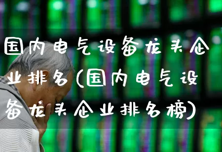 国内电气设备龙头企业排名(国内电气设备龙头企业排名榜)_https://www.syklpowerbike.com_创业板_第1张