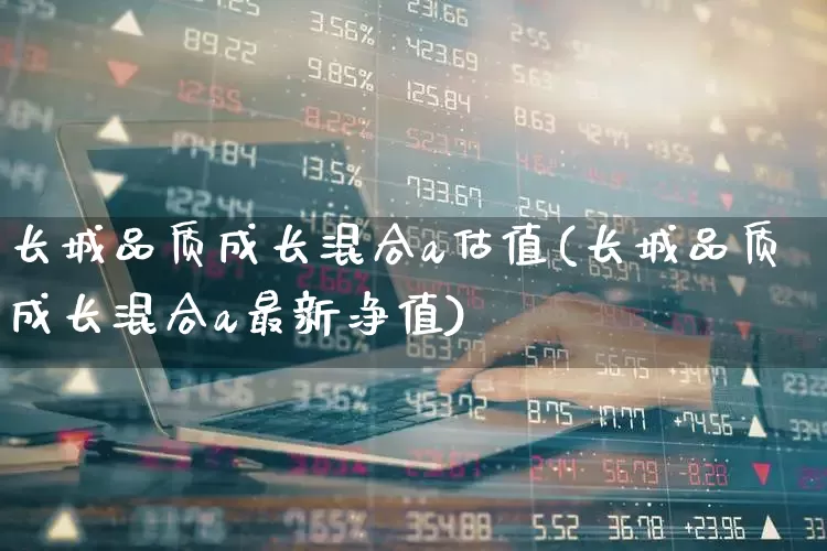 长城品质成长混合a估值(长城品质成长混合a最新净值)_https://www.syklpowerbike.com_深交所_第1张