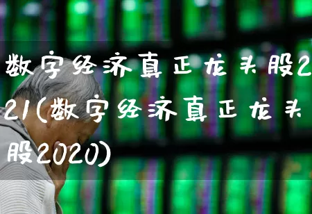 数字经济真正龙头股2021(数字经济真正龙头股2020)_https://www.syklpowerbike.com_深交所_第1张