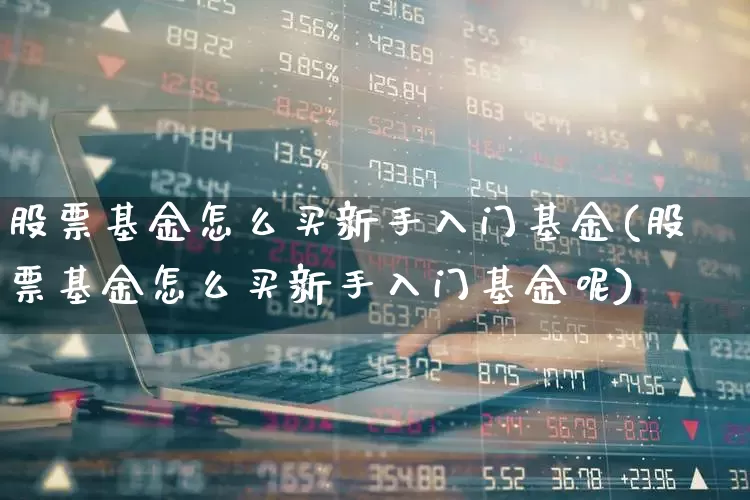 股票基金怎么买新手入门基金(股票基金怎么买新手入门基金呢)_https://www.syklpowerbike.com_北交所_第1张