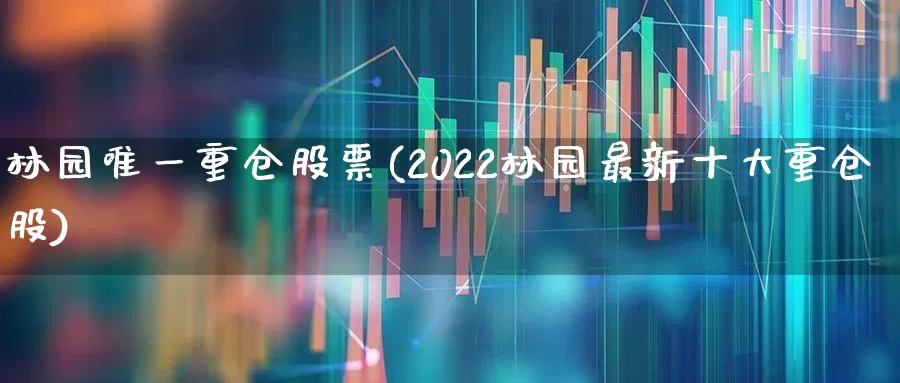 林园唯一重仓股票(2022林园最新十大重仓股)_https://www.syklpowerbike.com_深交所_第1张