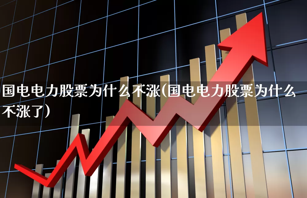 国电电力股票为什么不涨(国电电力股票为什么不涨了)_https://www.syklpowerbike.com_上交所_第1张