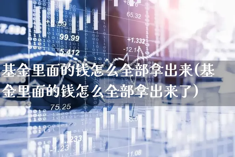 基金里面的钱怎么全部拿出来(基金里面的钱怎么全部拿出来了)_https://www.syklpowerbike.com_深交所_第1张