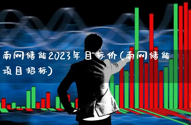 南网储能2023年目标价(南网储能项目招标)_https://www.syklpowerbike.com_上交所_第1张