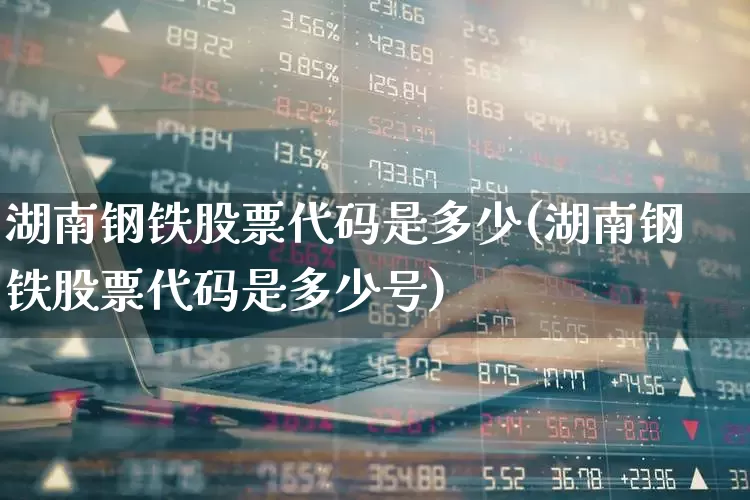 湖南钢铁股票代码是多少(湖南钢铁股票代码是多少号)_https://www.syklpowerbike.com_深交所_第1张