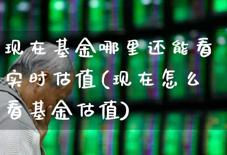 现在基金哪里还能看实时估值(现在怎么看基金估值)_https://www.syklpowerbike.com_深交所_第1张