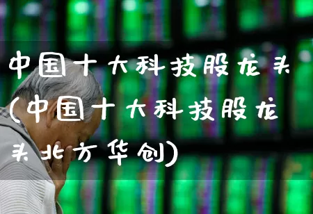 中国十大科技股龙头(中国十大科技股龙头北方华创)_https://www.syklpowerbike.com_创业板_第1张