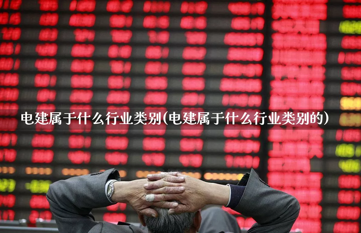 电建属于什么行业类别(电建属于什么行业类别的)_https://www.syklpowerbike.com_深交所_第1张